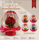 Balon içerisinde çiçek çeşitlerimiz